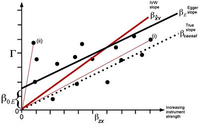 Common Methods for Performing Mendelian Randomization